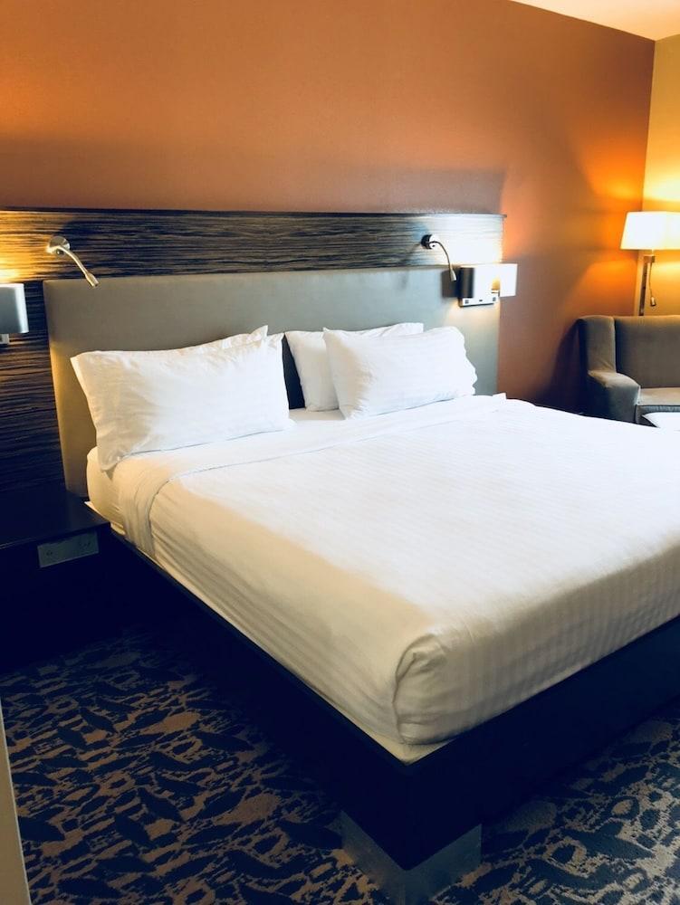 Holiday Inn Express & Suites North Dallas At Preston By Ihg Exteriér fotografie